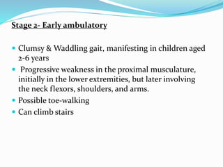 Stage 2- Early ambulatory
 Clumsy & Waddling gait, manifesting in children aged
2-6 years
 Progressive weakness in the proximal musculature,
initially in the lower extremities, but later involving
the neck flexors, shoulders, and arms.
 Possible toe-walking
 Can climb stairs
 