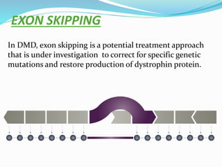 EXON SKIPPING
In DMD, exon skipping is a potential treatment approach
that is under investigation to correct for specific genetic
mutations and restore production of dystrophin protein.
 