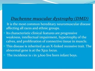 Duchenne muscular dystrophy (DMD)
It is the most common hereditary neuromuscular disease
affecting all races and ethnic groups.
 Its characteristic clinical features are progressive
weakness, intellectual impairment, hypertrophy of the
calves, and proliferation of connective tissue in muscle.
 This disease is inherited as an X-linked recessive trait. The
abnormal gene is at the Xp21 locus.
 The incidence is 1 in 3,600 live born infant boys.
 