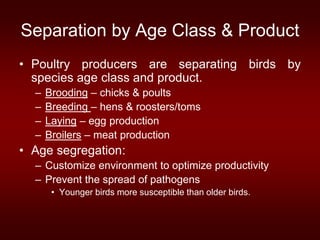 Separation by Age Class & Product
• Poultry producers are separating birds by
species age class and product.
– Brooding – chicks & poults
– Breeding – hens & roosters/toms
– Laying – egg production
– Broilers – meat production
• Age segregation:
– Customize environment to optimize productivity
– Prevent the spread of pathogens
• Younger birds more susceptible than older birds.
 