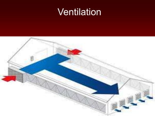 Ventilation
 