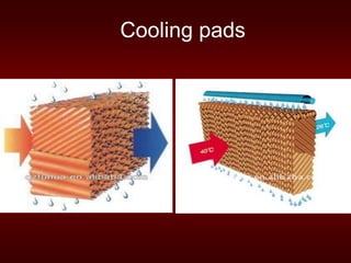 Cooling pads
 