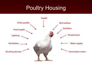 Poultry Housing
 