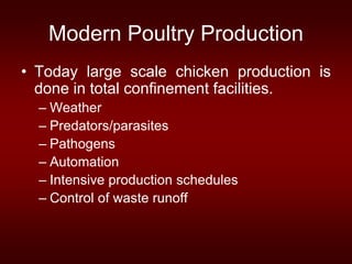 Modern Poultry Production
• Today large scale chicken production is
done in total confinement facilities.
– Weather
– Predators/parasites
– Pathogens
– Automation
– Intensive production schedules
– Control of waste runoff
 