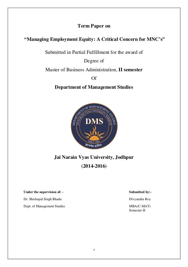 Employment equity in south africa mba dissertation