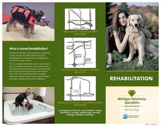 rehabilitation
What is Animal Rehabilitation?
Called physical therapy in human medicine, rehabilitation
is used to improve the quality of life for your pet by
decreasing pain, increasing mobility and helping speed
recovery from surgery or injury.
There are multiple rehabilitation methods and treatments
that can be used to help patients. Each case begins with a
thorough physical exam and treatments are recommended
based on the needs of the pet and discussions with the
owner. Over time, rehabilitation efforts can rebuild
muscle mass, improve range of motion in joints, help pets
lose weight, and decrease the need for medications.
24/7 Emergency  Critical Care • Internal Medicine • Surgery
Rehabilitation • Oncology • Ophthalmology • Neurology
Cardiology • Radiology • Dermatology
TelegraphRd
24
29080 Inkster Rd. • Southfield, MI 48034
(248) 354-6660
3412 E.Walton Blvd. • Auburn Hills, MI 48326
(248) 371-3713
1425 Michigan St. NE, Suite F • Grand Rapids, MI 49503
(616) 284-5300
Rehabitation.indd 1 9/27/11 1:15:04 PM
 