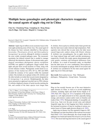 Multiple locus genealogies and phenotypic characters reappraise
the causal agents of apple ring rot in China
Chao Xu & Chunsheng Wang & Liangliang Ju & Rong Zhang &
Alan R. Biggs & Eiji Tanaka & Bingzhi Li & Guangyu Sun
Received: 6 March 2014 /Accepted: 2 September 2014 /Published online: 30 September 2014
# School of Science 2014
Abstract Apple ring rot inflicts severe economic losses in the
main apple producing areas of East Asia. The causal agent of
the disease has been variously identified as Macrophoma
kuwatsukai, Physalospora piricola and Botryosphaeria
berengeriana f. sp. piricola, although B. dothidea is currently
the most widely accepted pathogen name. The taxonomic
uncertainty has delayed research that is needed to manage
effectively this destructive disease. In the present study, gene-
alogical concordance phylogenetic species recognition
(GCPSR) was applied to pathogenic fungal isolates from
apple and pear from several locations in China, along with
several reference isolates. Phylogenetic results based on se-
quences of four nuclear loci (ITS, EF-1α, HIS and HSP)
revealed the existence of two species within the examined
isolates. One includes an ex-epitype isolate of B. dothidea and
the other includes an isolate that was previously designated as
B. berengeriana f. sp. piricola. Morphologically, the latter
taxon presented an appressed mycelial mat on PDA whereas
B. dothidea displayed columns of aerial mycelia reaching the
lids, and conidia of the latter species were longer than
B. dothidea. Botryosphaeria dothidea had a faster growth rate
than the latter taxon under relatively high temperatures. Path-
ogenicity tests showed that on pear stems the latter taxon
caused large-scale cankers along with blisters whereas
B. dothidea was non-pathogenic, but on apple shoots the
two fungi induced large and small wart-like prominences,
respectively. Overall, this cryptic species demonstrated suffi-
cient genetic variations and biological differences from
B. dothidea. As a result of taxonomic study, we described
here the latter taxon in a new combination, Botryosphaeria
kuwatsukai and designate an epitype. Both B. kuwatsukai and
B. dothidea are considered to be the main causal agents for
apple ring rot in China and Japan.
Key words Botryosphaeriaceae . Pear . Multi-gene
phylogeny . Pathogenicity . Group I intron . Taxonomy
Introduction
Ring rot has recently become one of the most destructive
apple diseases in China, as well as in several neighboring
countries, including Japan and South Korea (Ogata et al.
2000; Park 2005; Tang et al. 2012). Symptoms of the disease
appear as a soft, light-coloured rot on fruit, especially during
storage, and extensive cankers and/or warts on branches and
trunks (Chen 1999). Widespread planting of susceptible cul-
tivars (e.g., Fuji) over the past several years and reduced
fungicide usage due to fruit bagging have likely resulted in
the increased occurrence of ring rot, resulting in serious eco-
nomic losses to Chinese apple growers (Kang et al. 2009).
Apple ring rot disease was first reported in Japan in 1907.
The pathogen was later described as Macrophoma kuwatsukai
Hara (Hara 1930). Soon afterwards, the sexual morph of the
pathogen was found and named Physalospora piricola (Nose
1933). This taxon had long been known as the causal agent of
C. Xu :C. Wang :L. Ju :R. Zhang :G. Sun (*)
Key Laboratory of Crop Stress Biology in Arid Areas, College of
Plant Protection, Northwest A&F University, No.3 Taicheng Road,
Yangling 712100, Shaanxi, China
e-mail: sgy@nwsuaf.edu.cn
B. Li (*)
College of Horticulture, Northwest A&F University, No.3 Taicheng
Road, Yangling 712100, Shaanxi, China
e-mail: bzhli530530@163.com
A. R. Biggs
Kearneysville Tree Fruit Research and Education Center, West
Virginia University, P.O. Box 609, Kearneysville, WV 25443, USA
E. Tanaka
Division of Environmental Science, Ishikawa Prefectural University,
Suematsu 1-308, Nonoichi, Ishikawa 921-8836, Japan
Fungal Diversity (2015) 71:215–231
DOI 10.1007/s13225-014-0306-5
 