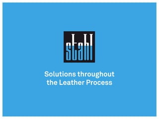 Solutions throughout
the Leather Process
 