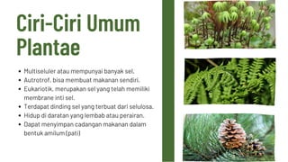 PPT-Plantae-Bryophyta-Pteridophyta-dan-Spermatophyta.pdf