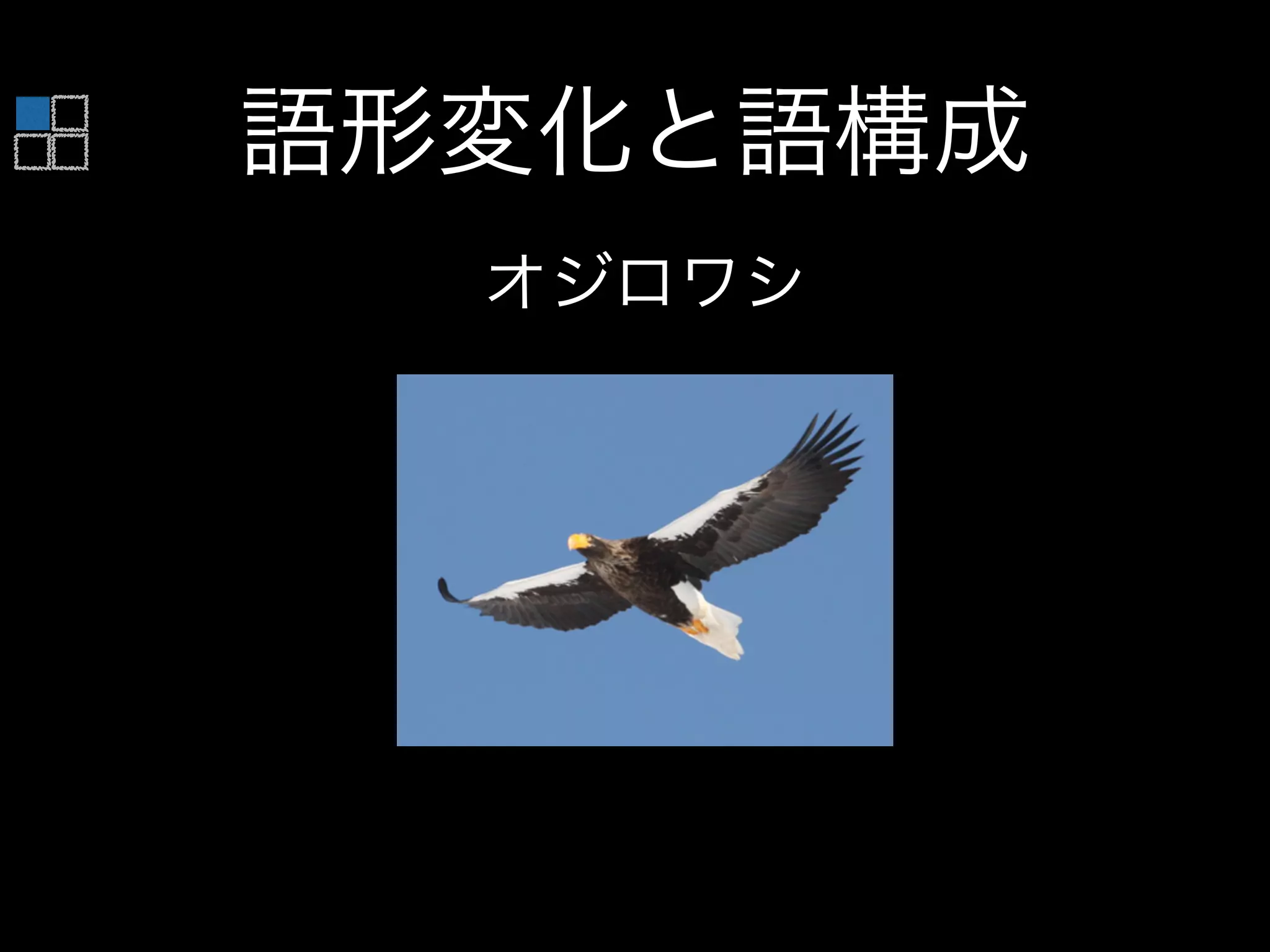 語形変化と語構成
オジロワシ
 