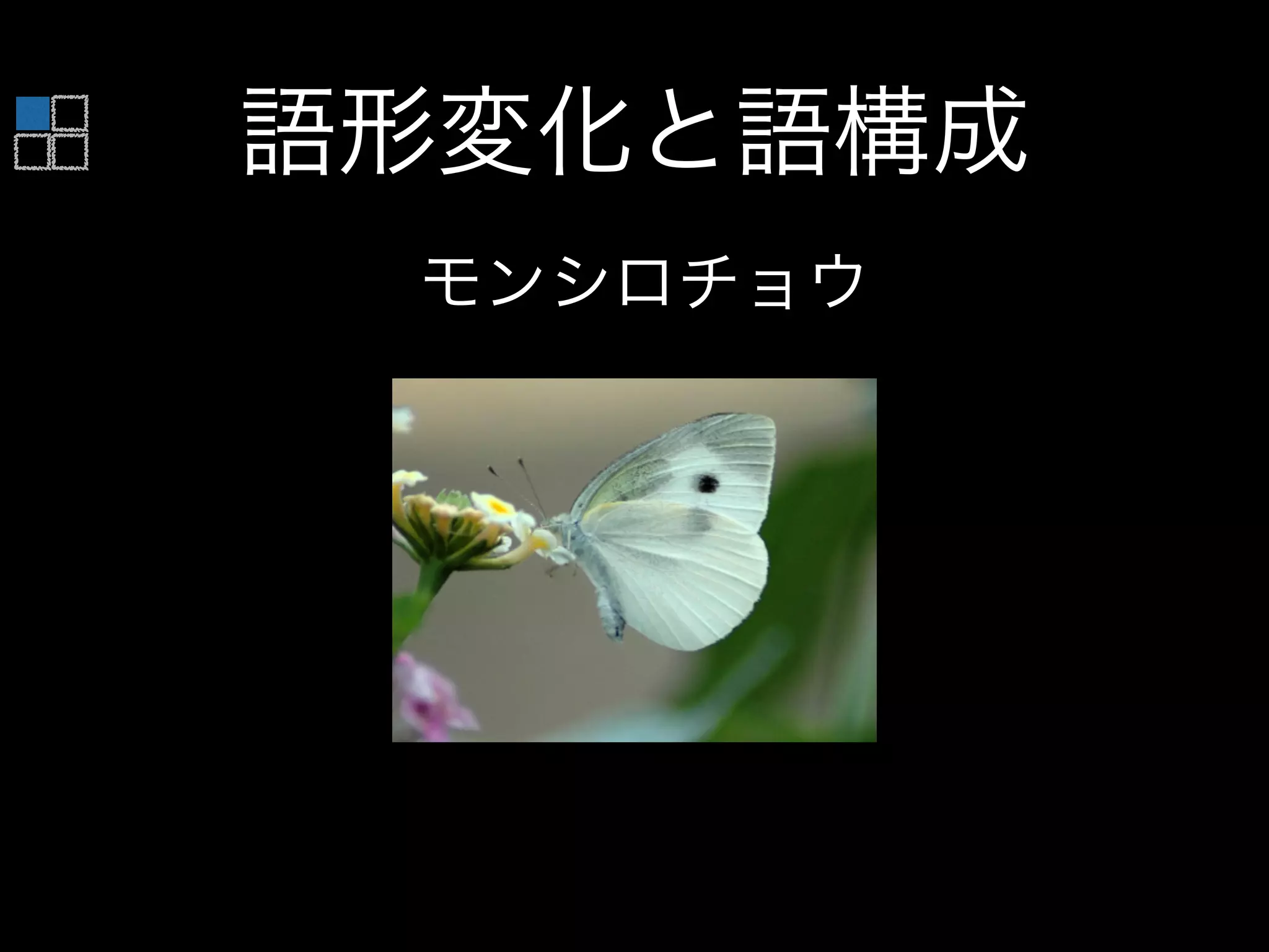 語形変化と語構成
モンシロチョウ
 