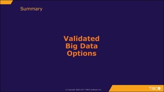 © Copyright 2000-2017 TIBCO Software Inc.
Summary
Validated
Big Data
Options
 