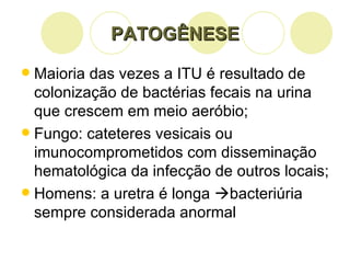 PATOGÊNESE Maioria das vezes a ITU é resultado de colonização de bactérias fecais na urina que crescem em meio aeróbio; Fungo: cateteres vesicais ou imunocomprometidos com disseminação hematológica da infecção de outros locais; Homens: a uretra é longa   bacteriúria sempre considerada anormal 