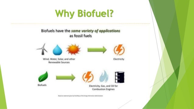 Biofuel-Powerpoint-main