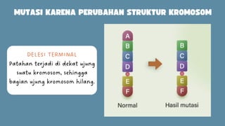 715279040-Ppt-mutasi-biologi-kelas-12.pdf