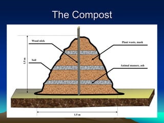 The Compost
1.5 m
Plant waste, mash
Animal manure, ash
Soil
Wood stick
 