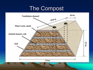 The Compost
7.0 m
4.0 m
Plant waste, mash
Animal manure, ash
Soil
Ventilation channel
 