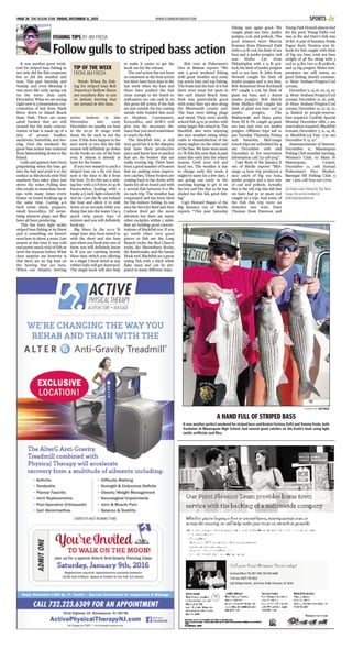 WWW.STARNEWSGROUP.COMPAGE 36 THE OCEAN STAR FRIDAY, DECEMBER 11, 2015 SPORTS
It was another great week-
end for striped bass fishing as
not only did the fish cooperate
but so did the weather and
seas. This past Saturday and
Sunday and even Monday it
was more like early spring out
on the water than early
December. What we are seeing
right now is a tremendous con-
centration of bait from Shark
River down to Island Beach
State Park. There are some
adult bunker that are still
around but the main concen-
tration of bait is made up of a
mix of peanut bunker,
anchovies, butterfish, and her-
ring. Over the weekend the
great bass action was centered
from Mantoloking down to the
Island.
Gulls and gannets have been
pinpointing when the bass get
into the bait and push it to the
surface as Hitchcock style bird
mayhem then takes place just
above the water. Pulling into
this results in immediate hook-
ups with many times every
boater on board hooking up at
the same time. Casting 4-6
inch swim shads, poppers,
small krocodiles, SP swim-
ming minnow plugs, and flies
have all been producing.
This has been light tackle
striped bass fishing at its finest
and is something we haven’t
seen here in about 4 years. Last
season at this time it was cold
and pretty much void of fish as
were the seasons before. What
does surprise me however is
that there are no big bass on
the herring that are here.
When our Atlantic herring
arrive inshore in late
November into early
December we usually see bass
in the 20-30 lb range with
them. So far such is not the
case. If this does happen in the
next week or two this late fall
season will definitely go down
in the books as one of the best
ever. It almost is already at
least for the boater.
If you ever wanted to catch a
striped bass on a fly rod then
now is the time to do it from
the boat. To do this use a sink-
ing line with a 6-8 foot 20-30 lb
fluorocarbon leading with a
bushy 4-6 inch light colored fly
tied on. Cast the fly out behind
the boat and allow it to sink
down 20-30 seconds while you
dump line into the water. Use a
quick strip pause type of
retrieve and you will definitely
hook-up.
Big blues in the 10-12 lb
range have also been mixed in
with the short and slot bass
and when you hook into one of
these you will definitely know
it. If you are catching mostly
blues then switch you offering
to a single J hook metal as any
rubber baits will get destroyed.
The single hook will also help
to make it easier to get the
hook out for the release.
The surf action has not been
as consistent as the boat action
but there have been days in the
last week when the bass and
blues have pushed the bait
close enough to the beach so
surfcasters too can cash in on
this great fall action. If the fish
are just outside the bar casting
metals with braided line such
as Hopkins, Castmasters,
Krocodiles, and AOK’s will
give you the necessary dis-
tance that you need sometimes
to reach the fish.
The blackfish bite is still
very good but it is the sharpies
that have their productive
piece and know how to anchor
that are the boaters that are
really scoring big. There have
been a good number of boaters
that are making some impres-
sive catches. These boaters are
coming back to the docks with
limits for all on board and with
a several fish between 8-12 lbs
on each trip. The weather has
cooperated and has been ideal
for this inshore fishing. In our
area the Sea Girt Reef and Alex
Carlson Reef get the most
attention but there are many
other rockpiles within 5 miles
that are holding good concen-
trations of blackfish too. If you
go north other very good
pieces to fish are the Long
Branch rocks, the Red Church
rocks, the Shrewsbury Rocks,
the Rattlesnake, and the Sandy
Hook reef. Blackfish are a great
eating fish with a thick white
flaky meat and can be pre-
pared in many different ways.
Bob over at Fishermen’s
Den in Belmar reports “We
saw a good weekend fishing
with great weather and some
top notch bass and tog fishing.
The boats had the best of it but
there were some hot spots in
the surf. Island Beach State
Park was particularly good
with some flare ups also along
the Monmouth county surf.
The bass were hitting plugs
and metal. They were mostly
school fish 24 to 30 inches with
some larger fish mixed in. The
blackfish also were enjoying
the nice weather eating white
crabs to thesatisfaction of the
many anglers on the other end
of the line. We have seen more
10+ lb fish this year than in past
years this early into the winter
season. Grab your rod and
head out. The weather is due
to change early this week, it
might be nasty for a few days. I
am going out early in the
morning hoping to get in on
the hot surf bite that so far has
eluded me this fall, good fish-
ing.”
Capt Howard Bogan of the
Big Jamaica out of Brielle
reports “This past Saturday
fishing was again good. We
caught giant sea bass, jumbo
porgies, cod, and pollock. The
pool winners were Marcin
Korszen from Elmwood Park
with a 19 lb cod, his limit of sea
bass and 11 jumbo porgies. 2nd
was Haibo Lin from
Philadelphia with a 13 lb pol-
lock, his limit of jumbo porgies
and 10 sea bass. R. John from
Newark caught his limit of
jumbo porgies and 12 sea bass.
Bob Beaumont from Rockland
NY caught a cod, his limit of
giant sea bass, and 2 dozen
jumbo porgies. Bob March
from Mullica Hill caught his
limit of giant sea bass and 35
jumbo porgies. The
Malinowski and Hans party
from NJ & PA caught 40 giant
sea bass and over 100 jumbo
porgies. Offshore trips sail 10
pm Tuesday, Thursday, Friday,
and Saturday. Mid-range
wreck trips are scheduled for 4
am December 10th and
December 26. For reservation
information call 732-528-5014”.
Capt Ryan of the Jamaica II
out of Brielle reports “Mid-
range 14 hour trip produced a
nice catch of big sea bass,
jumbo porgies and a nice mix
of cod and pollock. Actually
this is the 11th trip this fall that
we have had 50 or more cod
caught on a trip. And some of
the fish this trip were no
slouches size wise. Dave
Thomas from Paterson and
Young Park Howell almost tied
for the pool. Young Parks cod
was 29 lbs and Dave's fish was
28 lbs. A pair of beauties. Frank
Pogue from Trenton was hi-
hook for fish caught with limit
of big sea bass, total sea bass
weight of 48 lbs, along with 3
cod to 14 lbs, two 10 lb pollock,
and 24 big porgies. Water tem-
peratures are still warm, so
good fishing should continue.
12 Hour Seabass/Porgies/Cod
5:00am,
December 9, 13, 16, 20, 23, 29.
14 Hour Seabass/Porgies/Cod
3:00am, December 12, 26, 30th.
18 Hour Seabass/Porgies/Cod
1:00am, December 10, 17, 19, 27,
31, limited 30 people-reserva-
tion required. Codfish Special
Monday December 28th, 2 am
reservation required. Blackfish
6:00am, December 7, 11, 14, 18,
21. Blackfish-3/4 Day- 7:30 am
December 8, 15, 22.”
Announcements of Interest:
December 11, Manasquan
Fishing Club monthly meeting,
Women’s Club, 62 Main St
Manasquan, 7:30pm.
December 12, 12th Annual
Fisherman’s Flea Market,
Barnegat HS Fishing Club, 9
am- 1 pm, call 609-290-7709.
Jim Freda covers fishing for Star News
Group. He can be emailed at
jimfreda@optonline.net.
FISHING TIPS BY JIM FREDA
Follow gulls to striped bass action
TIP OF THE WEEK
FROM JIM FREDA
Week: When fly fish-
ing for striped bass Bob
Popovics’s hollow fleyes
are excellent flies to use
to imitate herring that
are around at this time.
COURTESY OF JIM FREDA
A HAND FULL OF STRIPED BASS
It was another perfect weekend for striped bass and Keaton Fortney [left] and Tommy Freda, both
freshmen at Manasquan High School, had several good catches on Jim Freda’s boat using light
tackle artificials and flies.
 