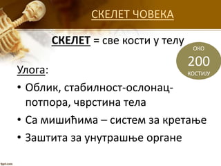 СКЕЛЕТ ЧОВЕКА
СКЕЛЕТ = све кости у телу
ОКО
200
КОСТИЈУУлога:
• Облик, стабилност-ослонац-
потпора, чврстина тела
• Са мишићима – систем за кретање
• Заштита за унутрашње органе
 