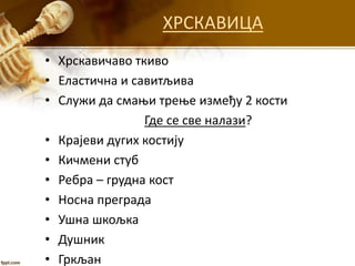 ХРСКАВИЦА
• Хрскавичаво ткиво
• Еластична и савитљива
• Служи да смањи трење између 2 кости
Где се све налази?
• Крајеви дугих костију
• Кичмени стуб
• Ребра – грудна кост
• Носна преграда
• Ушна шкољка
• Душник
• Гркљан
 