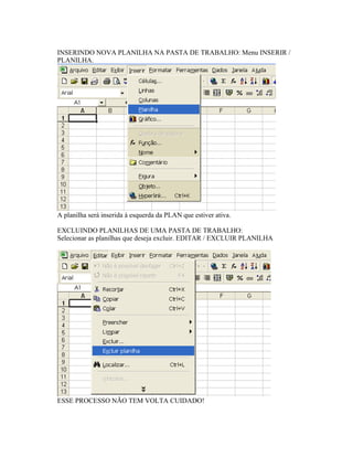 INSERINDO NOVA PLANILHA NA PASTA DE TRABALHO: Menu INSERIR /
PLANILHA.




A planilha será inserida á esquerda da PLAN que estiver ativa.

EXCLUINDO PLANILHAS DE UMA PASTA DE TRABALHO:
Selecionar as planilhas que deseja excluir. EDITAR / EXCLUIR PLANILHA




ESSE PROCESSO NÃO TEM VOLTA CUIDADO!
 