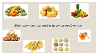 Мы получаем углеводы из этих продуктов
 