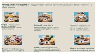 Минеральные вещества - поддерживают баланс в организме и оказывают большое влияние на
обмен веществ
Натрий - поддерживают
баланс в организме и
оказывают большое влияние
на обмен веществ
Кальций – участвует в
формировании костей, а также
поддерживает работу нервной
системы
Магний - поддержание
работы сердца, участие в
работе нервной системы
Железо – необходимо для
формирования гемоглобина
Калий - поддерживает баланс в
организме вместе с Na и оказывают
благоприятное влияние на сердечную
мышцу
Йод – участвует в выработке
гормонов щитовидной железы
 