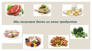 Мы получаем белки из этих продуктов
 