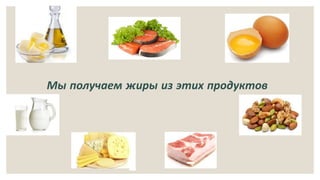 Мы получаем жиры из этих продуктов
 
