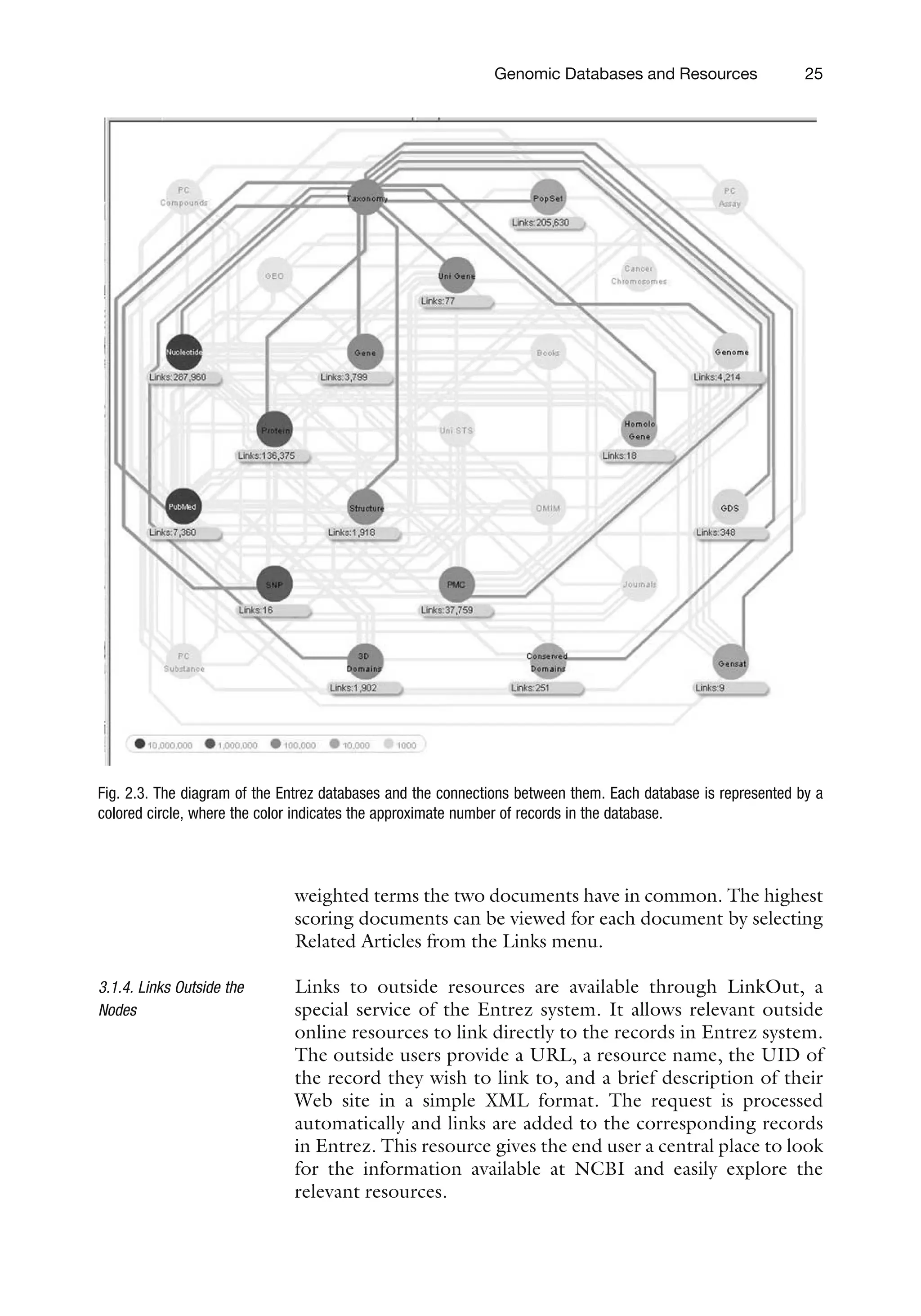 weighted terms the two documents have in common. The highest
scoring documents can be viewed for each document by selecting
Related Articles from the Links menu.
3.1.4. Links Outside the
Nodes
Links to outside resources are available through LinkOut, a
special service of the Entrez system. It allows relevant outside
online resources to link directly to the records in Entrez system.
The outside users provide a URL, a resource name, the UID of
the record they wish to link to, and a brief description of their
Web site in a simple XML format. The request is processed
automatically and links are added to the corresponding records
in Entrez. This resource gives the end user a central place to look
for the information available at NCBI and easily explore the
relevant resources.
Fig. 2.3. The diagram of the Entrez databases and the connections between them. Each database is represented by a
colored circle, where the color indicates the approximate number of records in the database.
Genomic Databases and Resources 25
 