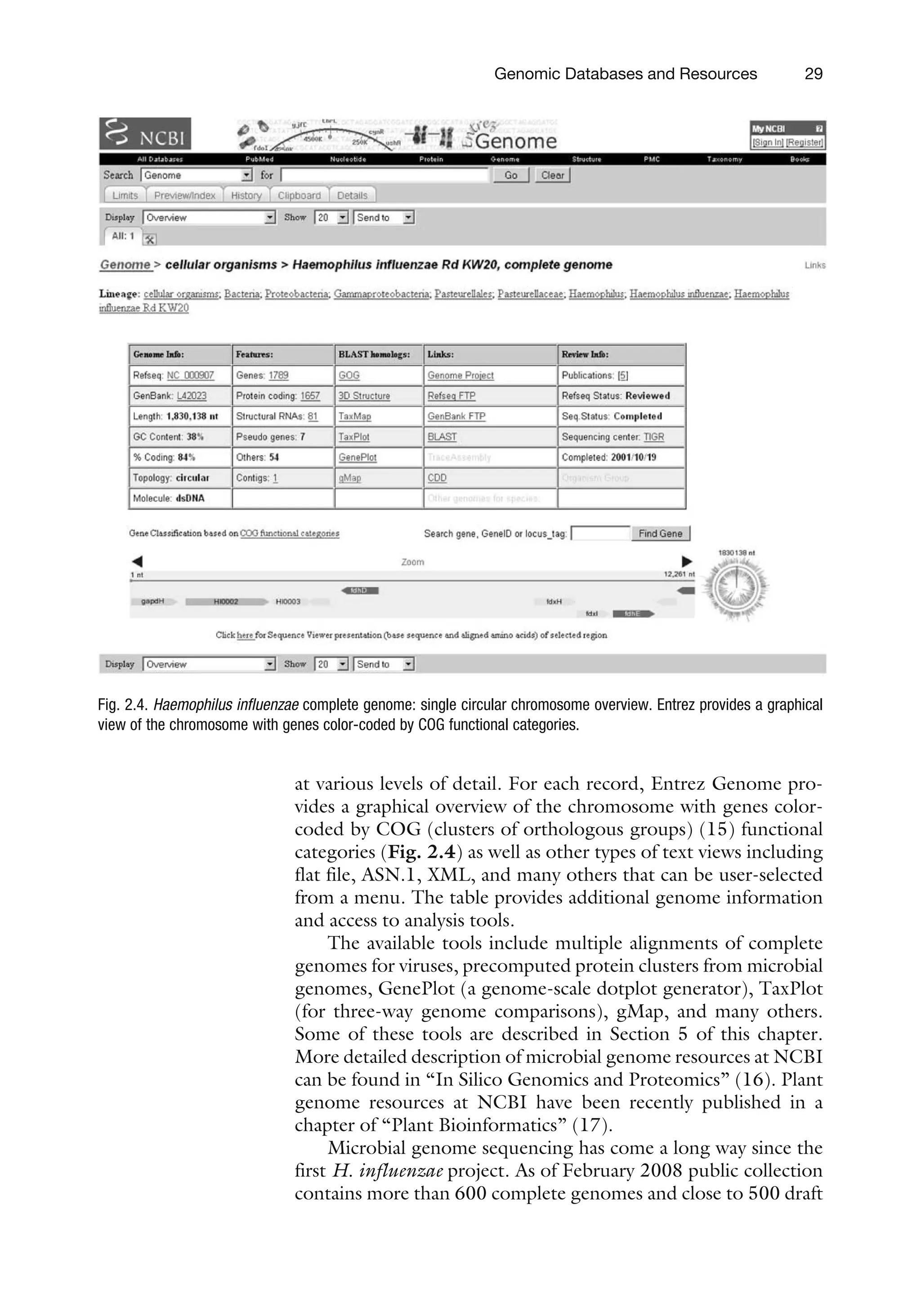 at various levels of detail. For each record, Entrez Genome pro-
vides a graphical overview of the chromosome with genes color-
coded by COG (clusters of orthologous groups) (15) functional
categories (Fig. 2.4) as well as other types of text views including
flat file, ASN.1, XML, and many others that can be user-selected
from a menu. The table provides additional genome information
and access to analysis tools.
The available tools include multiple alignments of complete
genomes for viruses, precomputed protein clusters from microbial
genomes, GenePlot (a genome-scale dotplot generator), TaxPlot
(for three-way genome comparisons), gMap, and many others.
Some of these tools are described in Section 5 of this chapter.
More detailed description of microbial genome resources at NCBI
can be found in ‘‘In Silico Genomics and Proteomics’’ (16). Plant
genome resources at NCBI have been recently published in a
chapter of ‘‘Plant Bioinformatics’’ (17).
Microbial genome sequencing has come a long way since the
first H. influenzae project. As of February 2008 public collection
contains more than 600 complete genomes and close to 500 draft
Fig. 2.4. Haemophilus influenzae complete genome: single circular chromosome overview. Entrez provides a graphical
view of the chromosome with genes color-coded by COG functional categories.
Genomic Databases and Resources 29
 