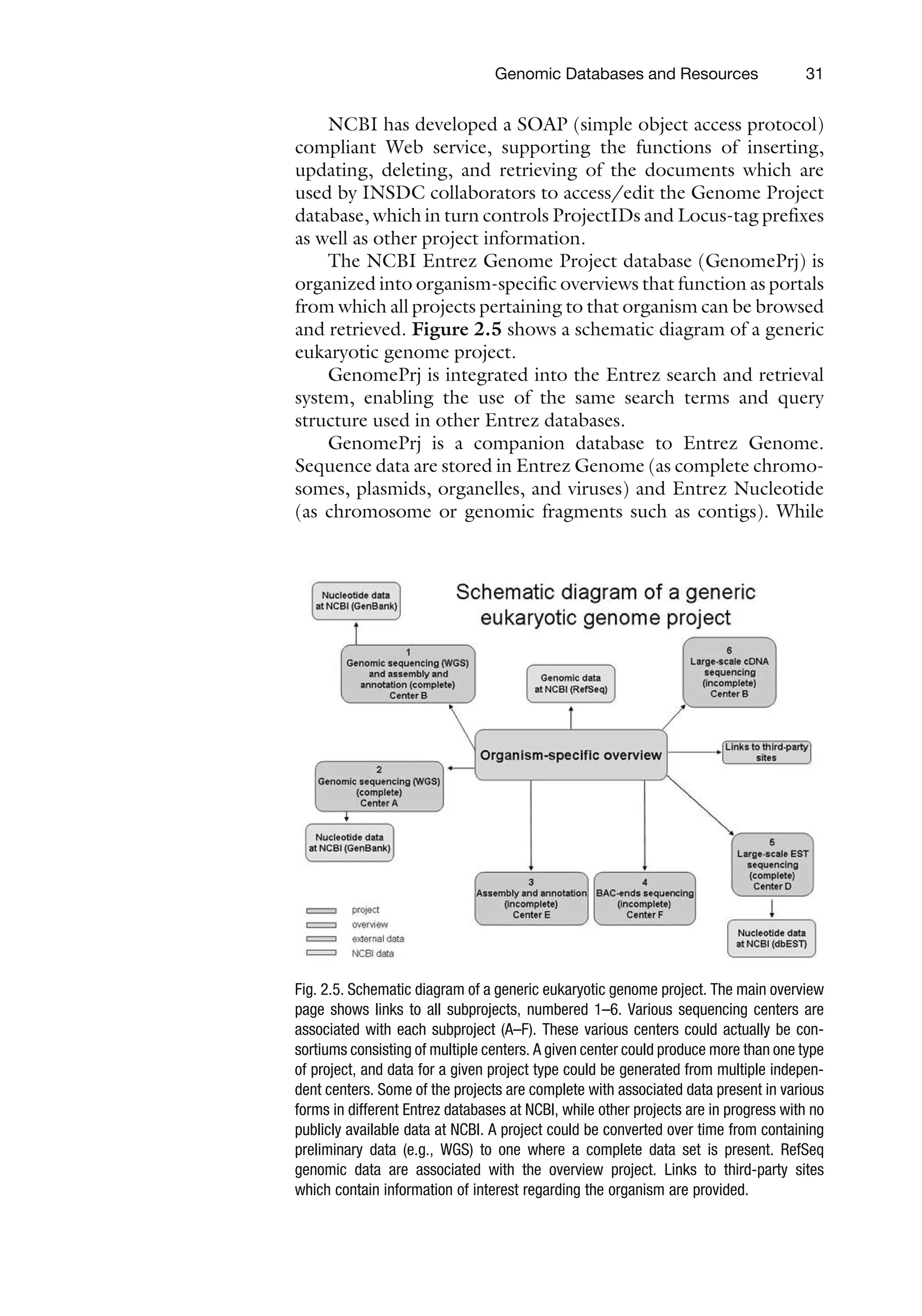 NCBI has developed a SOAP (simple object access protocol)
compliant Web service, supporting the functions of inserting,
updating, deleting, and retrieving of the documents which are
used by INSDC collaborators to access/edit the Genome Project
database, which in turn controls ProjectIDs and Locus-tag prefixes
as well as other project information.
The NCBI Entrez Genome Project database (GenomePrj) is
organized into organism-specific overviews that function as portals
from which all projects pertaining to that organism can be browsed
and retrieved. Figure 2.5 shows a schematic diagram of a generic
eukaryotic genome project.
GenomePrj is integrated into the Entrez search and retrieval
system, enabling the use of the same search terms and query
structure used in other Entrez databases.
GenomePrj is a companion database to Entrez Genome.
Sequence data are stored in Entrez Genome (as complete chromo-
somes, plasmids, organelles, and viruses) and Entrez Nucleotide
(as chromosome or genomic fragments such as contigs). While
Fig. 2.5. Schematic diagram of a generic eukaryotic genome project. The main overview
page shows links to all subprojects, numbered 1–6. Various sequencing centers are
associated with each subproject (A–F). These various centers could actually be con-
sortiums consisting of multiple centers. A given center could produce more than one type
of project, and data for a given project type could be generated from multiple indepen-
dent centers. Some of the projects are complete with associated data present in various
forms in different Entrez databases at NCBI, while other projects are in progress with no
publicly available data at NCBI. A project could be converted over time from containing
preliminary data (e.g., WGS) to one where a complete data set is present. RefSeq
genomic data are associated with the overview project. Links to third-party sites
which contain information of interest regarding the organism are provided.
Genomic Databases and Resources 31
 