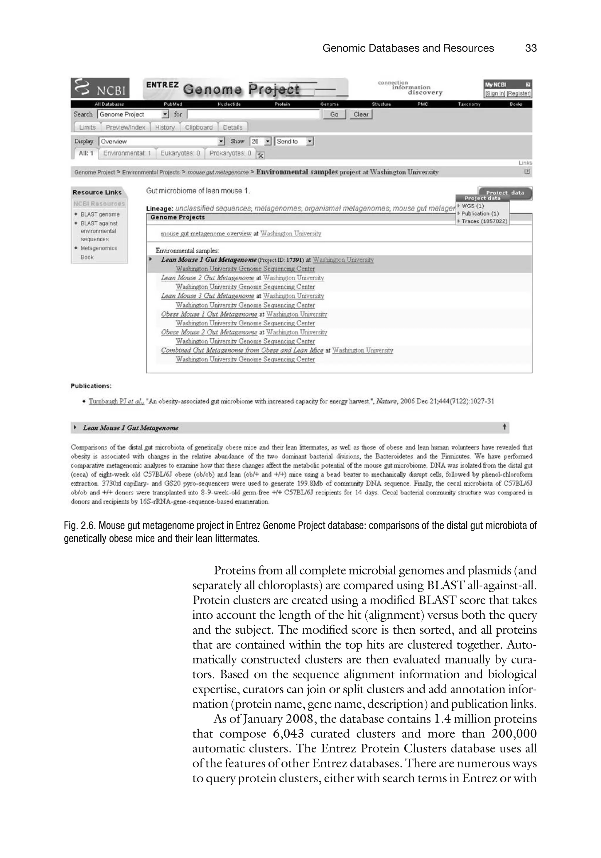 Proteins from all complete microbial genomes and plasmids (and
separately all chloroplasts) are compared using BLAST all-against-all.
Protein clusters are created using a modified BLAST score that takes
into account the length of the hit (alignment) versus both the query
and the subject. The modified score is then sorted, and all proteins
that are contained within the top hits are clustered together. Auto-
matically constructed clusters are then evaluated manually by cura-
tors. Based on the sequence alignment information and biological
expertise, curators can join or split clusters and add annotation infor-
mation (protein name, gene name, description) and publication links.
As of January 2008, the database contains 1.4 million proteins
that compose 6,043 curated clusters and more than 200,000
automatic clusters. The Entrez Protein Clusters database uses all
of the features of other Entrez databases. There are numerous ways
to query protein clusters, either with search terms in Entrez or with
Fig. 2.6. Mouse gut metagenome project in Entrez Genome Project database: comparisons of the distal gut microbiota of
genetically obese mice and their lean littermates.
Genomic Databases and Resources 33
 