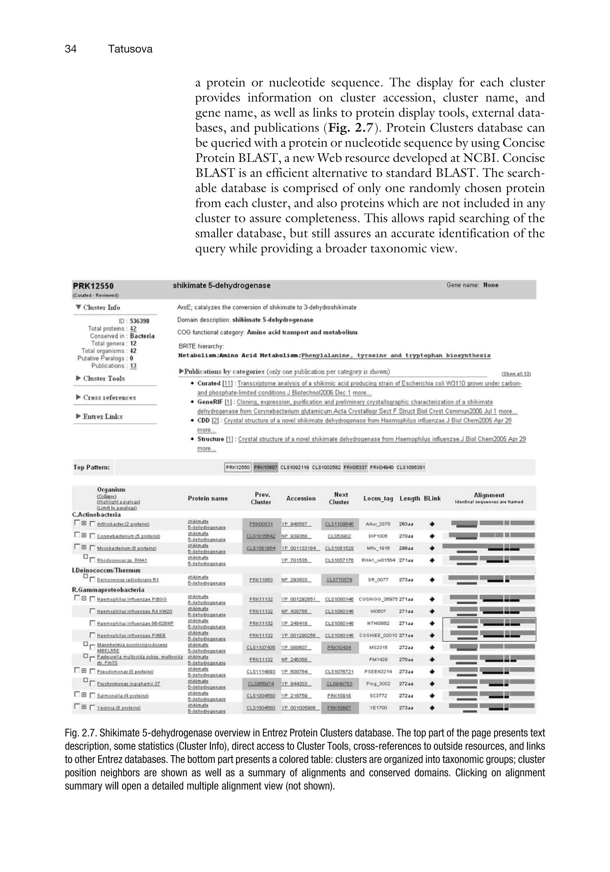 a protein or nucleotide sequence. The display for each cluster
provides information on cluster accession, cluster name, and
gene name, as well as links to protein display tools, external data-
bases, and publications (Fig. 2.7). Protein Clusters database can
be queried with a protein or nucleotide sequence by using Concise
Protein BLAST, a new Web resource developed at NCBI. Concise
BLAST is an efficient alternative to standard BLAST. The search-
able database is comprised of only one randomly chosen protein
from each cluster, and also proteins which are not included in any
cluster to assure completeness. This allows rapid searching of the
smaller database, but still assures an accurate identification of the
query while providing a broader taxonomic view.
Fig. 2.7. Shikimate 5-dehydrogenase overview in Entrez Protein Clusters database. The top part of the page presents text
description, some statistics (Cluster Info), direct access to Cluster Tools, cross-references to outside resources, and links
to other Entrez databases. The bottom part presents a colored table: clusters are organized into taxonomic groups; cluster
position neighbors are shown as well as a summary of alignments and conserved domains. Clicking on alignment
summary will open a detailed multiple alignment view (not shown).
34 Tatusova
 