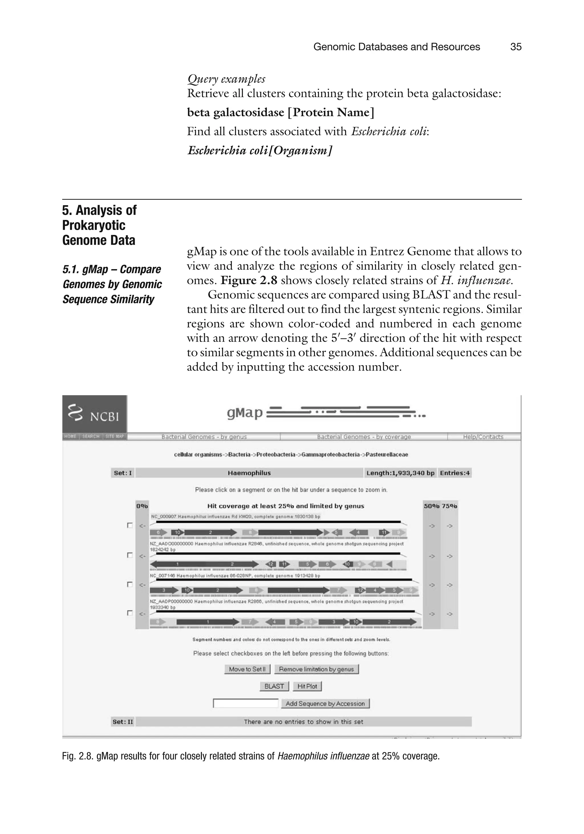 Query examples
Retrieve all clusters containing the protein beta galactosidase:
beta galactosidase [Protein Name]
Find all clusters associated with Escherichia coli:
Escherichia coli[Organism]
5. Analysis of
Prokaryotic
Genome Data
5.1. gMap – Compare
Genomes by Genomic
Sequence Similarity
gMap is one of the tools available in Entrez Genome that allows to
view and analyze the regions of similarity in closely related gen-
omes. Figure 2.8 shows closely related strains of H. influenzae.
Genomic sequences are compared using BLAST and the resul-
tant hits are filtered out to find the largest syntenic regions. Similar
regions are shown color-coded and numbered in each genome
with an arrow denoting the 50
–30
direction of the hit with respect
to similar segments in other genomes. Additional sequences can be
added by inputting the accession number.
Fig. 2.8. gMap results for four closely related strains of Haemophilus influenzae at 25% coverage.
Genomic Databases and Resources 35
 