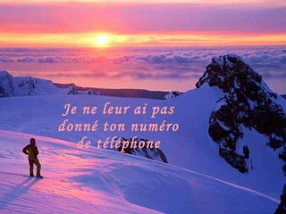 Je ne leur ai pas donné ton numéro de téléphone 