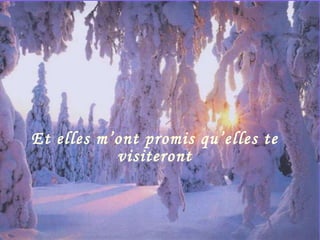 Et elles m’ont promis qu’elles te visiteront