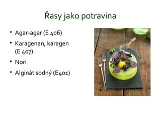 Vyuziti-ras-clovekem | PPT