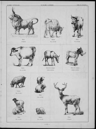 t
О селъ (с ъ натуры ).
Humbert & Ouvillier.
О селъ (съ натуры ).
Корова.
Рис. J. В. Hüet.
Баранъ .
Рис. J. В. Hüet.
Овцы.
Овцы.
Рис. J. в. Hüet.
 