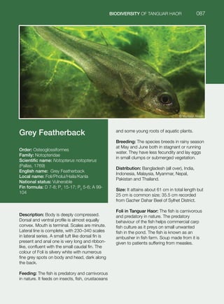 Tanguar Haor Fish Book_2015 | PDF