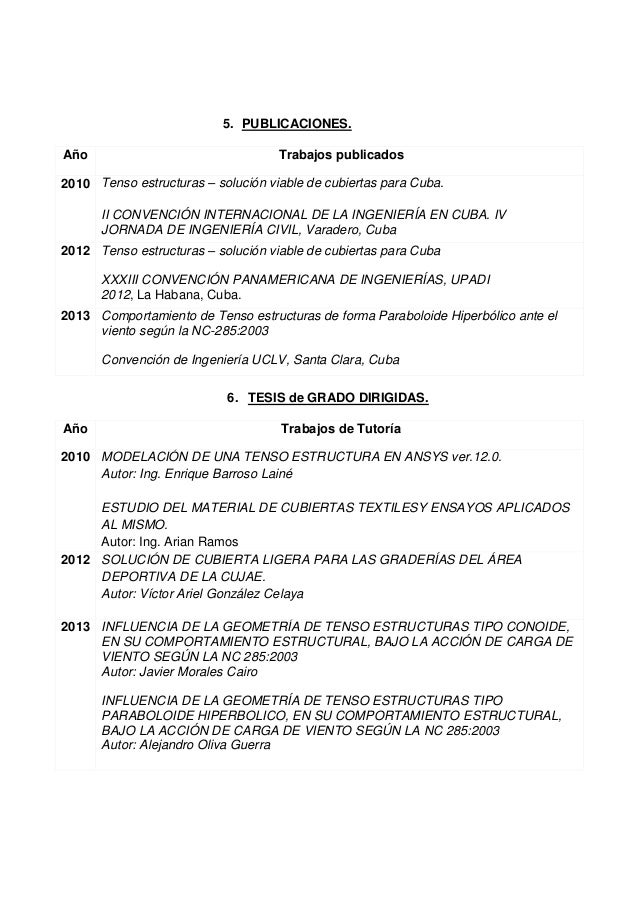 Formato curriculum vitae profesional word picture