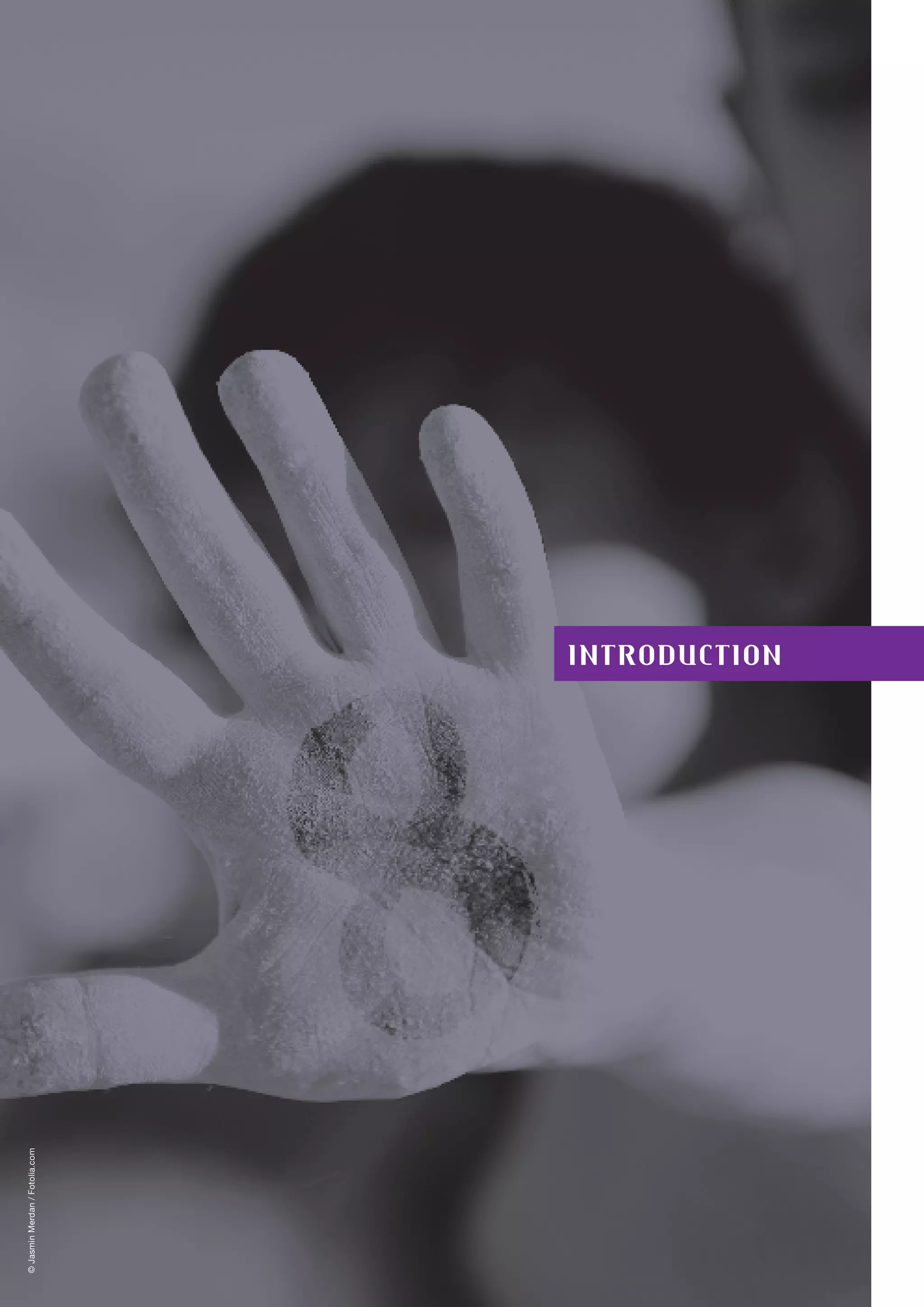 Introduction
©JasminMerdan/Fotolia.com
 