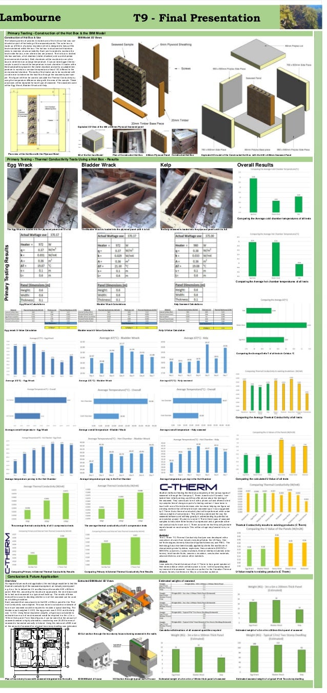 Seaweed thesis picture