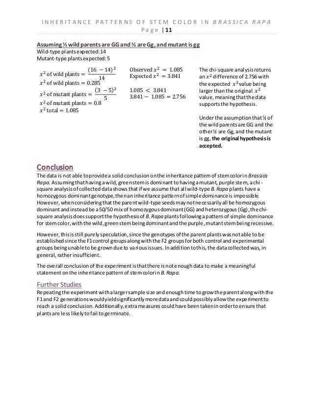 Google scholar picture