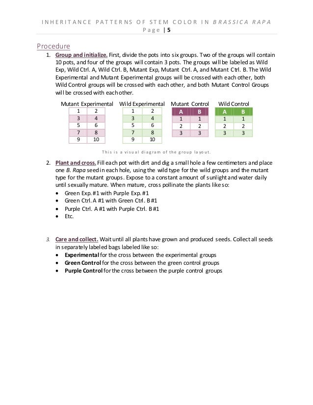 Wisconsin fast plants lab answers image