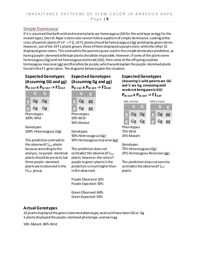 Brad database picture