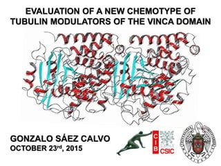 EVALUATION OF A NEW CHEMOTYPE OF
TUBULIN MODULATORS OF THE VINCA DOMAIN
GONZALO SÁEZ CALVO
OCTOBER 23rd, 2015
 