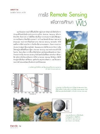 บทความ 
ดร.ชัยโชค ไวภาษา วศ.36 
การใช้ Remote Sensing 
เพื่อการศึกษา พืช 
ผมเขียนย่อความฉบับนี้ขึ้นเพื่อให้ท่านผู้อ่านชาวอินทาเนียได้เห็นถึงการ 
ประยุกต์ใช้เทคโนโลยีการสำรวจจากระยะไกล (Remote Sensing) เพื่อการ 
ศึกษาพืช เรื่องราวต่างๆ ในที่นี้เรียบเรียงขึ้นมาจากประสบการณ์ตรงที่สั่งสมมา 
จากงานวิจยัตา่งๆ ท่ผี มไดท้ำมานานกวา่ 10 ป ีและโดยหนา้ท่กี รรมการตรวจงาน 
(Reviewer) ของวารสารชั้นนำในสายงาน Remote Sensing หลายฉบับ ทำให้ 
ผมมีโอกาสได้อ่านงานวิชาการในเรื่องนี้มามากพอสมควร จึงอยากจะนำเอา 
ประสบการณ์เหล่านี้มาเล่าสู่กันฟัง โดยผมพยายามไม่ใช้ภาษาทางวิชาการเพื่อ 
ให้ท่านผู้อ่านที่ไม่มีพื้นความรู้ทาง Remote Sensing สามารถทำความเข้าใจได้ 
โดยง่าย โดยจะเริ่มจากการช้แี จงให้เห็นถึงความสำคัญของพืชพอสังเขป ถัดมา 
ก็จะบอกว่าทำไม Remote Sensing จึงเป็นเทคโนโลยีที่เหมาะสำหรับการศึกษา 
พืช หลังจากนั้นก็จะยกตัวอย่างการใช้งาน Remote Sensing ที่สำคัญๆ เพื่อให้ 
ท่านผู้อ่านได้เห็นภาพที่ชัดเจน สุดท้ายก็จะสรุปประเด็นต่างๆ และให้แนวทาง 
ของการศึกษาและพัฒนาเรื่องดังกล่าวต่อไปในอนาคต 
อินทาเนีย 76 
กันยายน - ตุลาคม 
ภาพพืชตระกูลถั่วที่มีความสำคัญแก่มนุษย์โลกมานานแสนนาน 
(เจ้าของภาพ www.asdi.com) 
ภาพแสดงการเปรียบเทียบระหว่างข้อมูล Multispectral Data 
ที่มีช่วงคลื่นกว้างดังแถบสีเทา และข้อมูล Hyperspectral Data 
ที่มีลักษณะต่อเนื่องดังเส้นสีดำ (เจ้าของภาพ Karin Schmidt) 
ภาพแสดงตัวอย่างการใช้เครื่องมือ 
เก็บข้อมูลพืชจากพื้นที่ศึกษา 
(เจ้าของภาพ www.asdi.com 
และ Coburn and Peddle) 
 