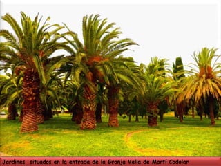Jardines  situados en la entrada de la Granja Vella de Martí Codolar