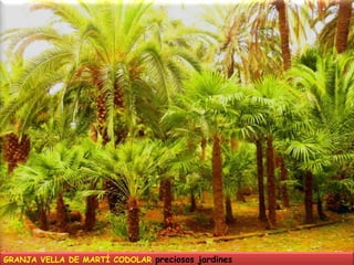 GRANJA VELLA DE MARTÍ CODOLAR preciosos jardines 